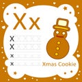 Learning Alphabet Letters Xmas Cookie