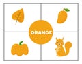 Learning basic primary colors for children. Orange.