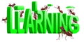 learning building knowledge experience education