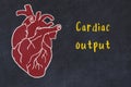 Learning cardio system concept. Chalk drawing of human heart and inscription Cardiac output