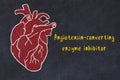 Learning cardio system concept. Chalk drawing of human heart and inscription Angiotensin-converting enzyme inhibitor