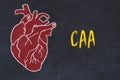 Learning cardio system concept. Chalk drawing of human heart and inscription CAA