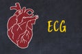 Learning cardio system concept. Chalk drawing of human heart and inscription ECG Royalty Free Stock Photo