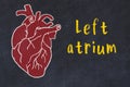 Learning cardio system concept. Chalk drawing of human heart and inscription Left atrium