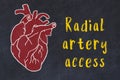 Learning cardio system concept. Chalk drawing of human heart and inscription Radial artery access