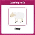 Learning cards for kids. Animals. Sheep Royalty Free Stock Photo