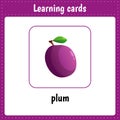 Learning cards for kids. Berry. Fruit. Plum