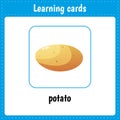 Learning cards for kids. Vegetable. Potato