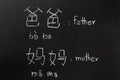 Learning chinese alphabet `pinyin` Royalty Free Stock Photo
