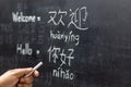 Learning chinese alphabet `pinyin` in classroom