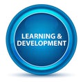 Learning & Development Eyeball Blue Round Button
