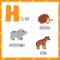 Learning English alphabet for kids. Letter H. Cute cartoon hedgehog hippopotamus hyena. Royalty Free Stock Photo