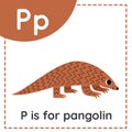 Learning English alphabet for kids. Letter P. Cute cartoon pangolin.