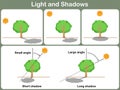 Learning light and shadow for kids - Worksheet