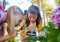 Learning, magnifying glass and girls with leaf outdoor for looking at plants together. Education, children and magnifier Royalty Free Stock Photo