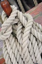 Leash on a belaying pin