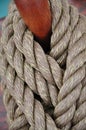 Leash on a belaying pin