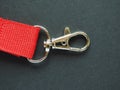 Leash with snap hook