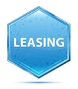 Leasing crystal blue hexagon button Royalty Free Stock Photo