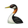 Least Grebe Bird Realistic Illustration Royalty Free Stock Photo