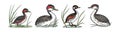 Least Grebe Bird Realistic Illustration Royalty Free Stock Photo