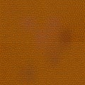 Leather Animal Texture Royalty Free Stock Photo