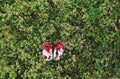 Leather baby vintage boots on green grass Royalty Free Stock Photo