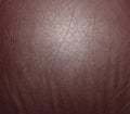 Leather background