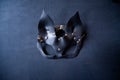 Leather bdsm cat mask on black background. Royalty Free Stock Photo