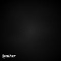 Leather black background vector