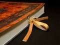 Leather book with fastener Royalty Free Stock Photo