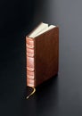 Leather Bound Book Royalty Free Stock Photo