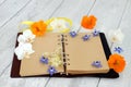 Leather Bound Journal for Personal Notes Royalty Free Stock Photo