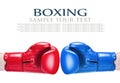 Leather boxing glove red and blue isolated on white Royalty Free Stock Photo