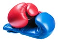 Leather boxing gloves blue and red isolated Royalty Free Stock Photo