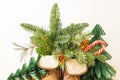 Leather brown rustic boots filled of fir tree branches with cones and candy isolated on white background. Plastic free.