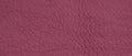 Leather burgundy background. background with artificial gray leather. burgundy texture