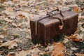 Leather carpetbag stands on fallen leaves. Wooden rosary top