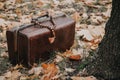 Leather carpetbag stands on fallen leaves. Wooden rosary top