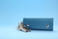 Leather case with keys on light blue background. Space for text Royalty Free Stock Photo