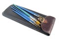 Leather case and paint brushes Royalty Free Stock Photo