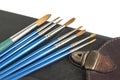 Leather case and paint brushes Royalty Free Stock Photo