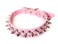 Spike collar for dog