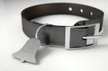 Leather Collar With Tag