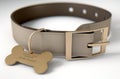 Leather Collar With Tag