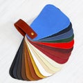 Leather color Royalty Free Stock Photo