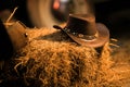 Cowboy Hat Western Wear Royalty Free Stock Photo