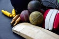 Leather cricket ball, wickets, helmet, gloves and wooden bat Royalty Free Stock Photo