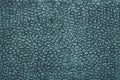 Leather of dark blue color with stamping Royalty Free Stock Photo