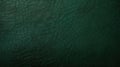 leather dark green texture background Royalty Free Stock Photo